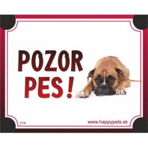 Tabuľka "POZOR PES" - boxer