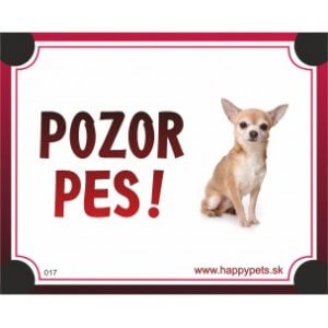 Tabuľka "POZOR PES" - čivava