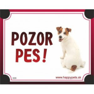 Tabuľka "POZOR PES" - jack russel