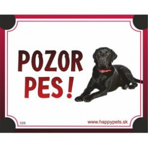 Tabuľka "POZOR PES" - labrador čierny