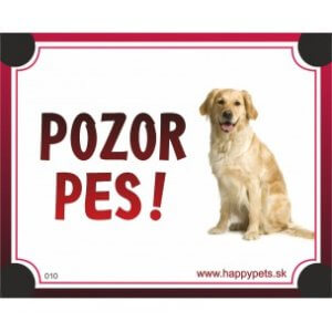 Tabuľka "POZOR PES" - labrador svetlý