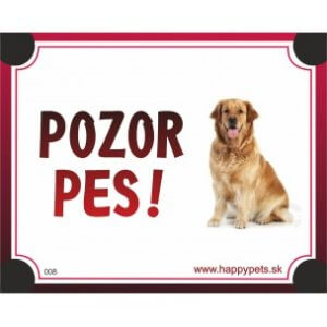 Tabuľka "POZOR PES" - zlatý retriever